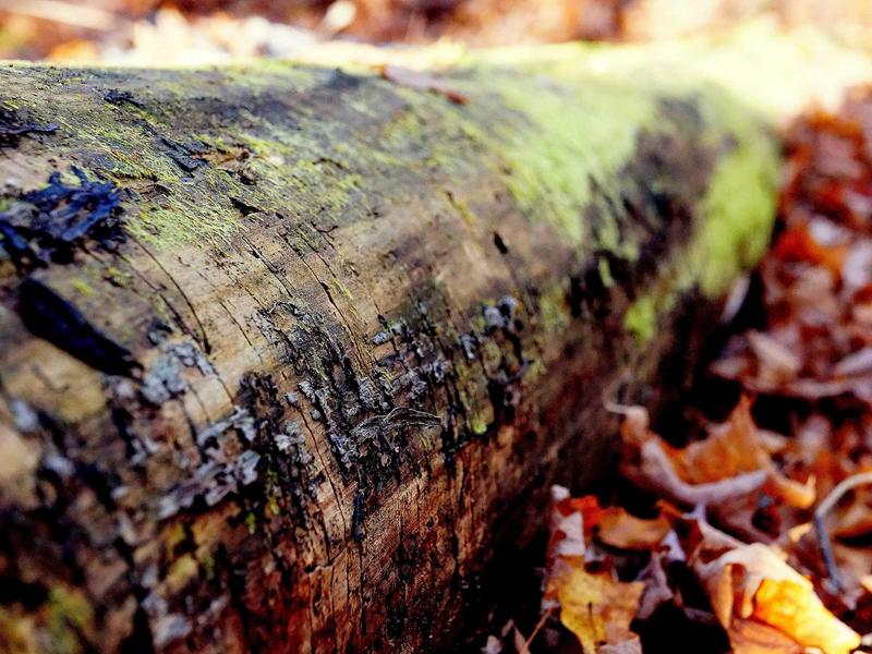 sudoku sound effects screenshot 2